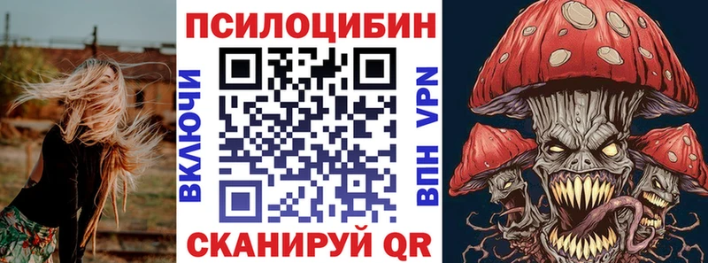 Купить где  Никольское  Псилоцибиновые грибы Magic Shrooms 